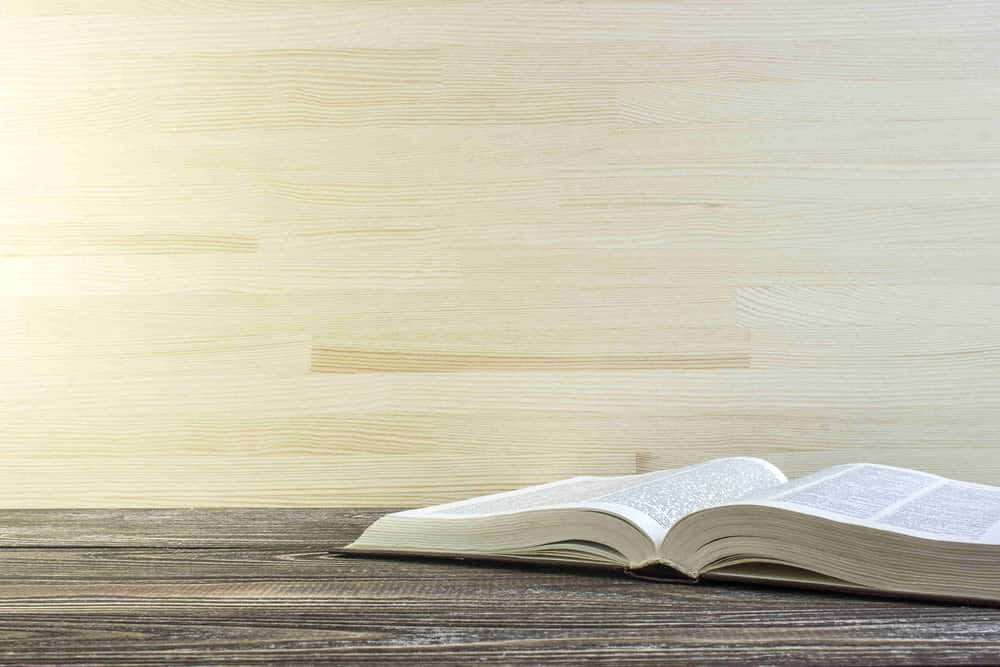 SBA 7(a) loan glossary